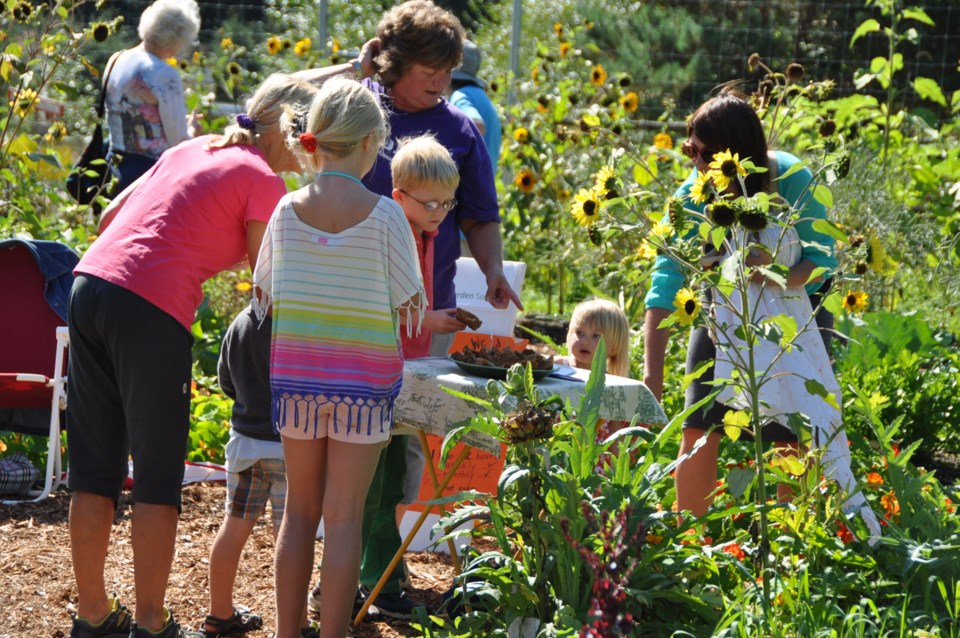 Harvest Festival