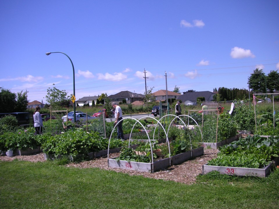 ladner community garden