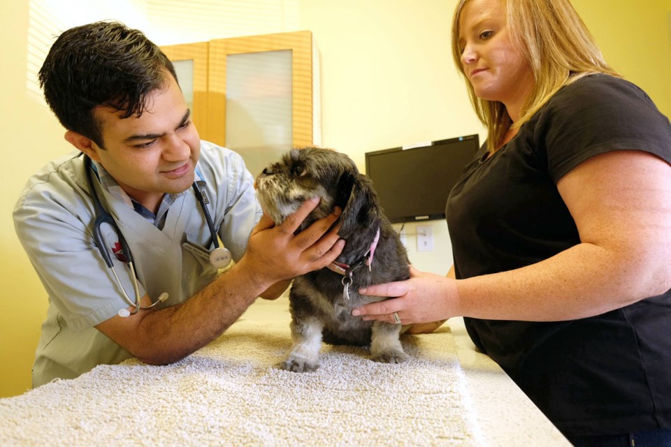 Dr. Janji Bajwa with Sarah Scott and her Shih Tzu Asia. Bajwa, co-owner and one of the vets at the Hastings Veterinary Hospital, is hosting a free pet parent education seminar on Oct. 4. The lunchtime event features four guest speakers, including Bajwa and other pet experts.