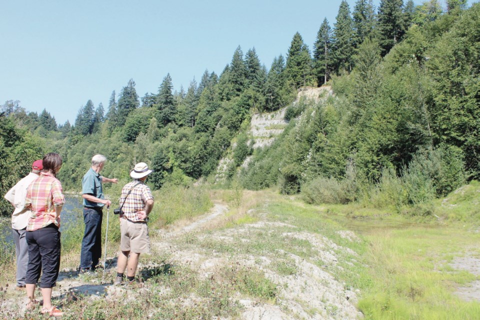 Rodger Hunter, co-ordinator of the Cowichan Watershed Board, points out the earth berm built to keep debris from Stoltz Bluff (in background) from entering the Cowichan River.