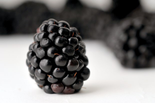 Blackberries