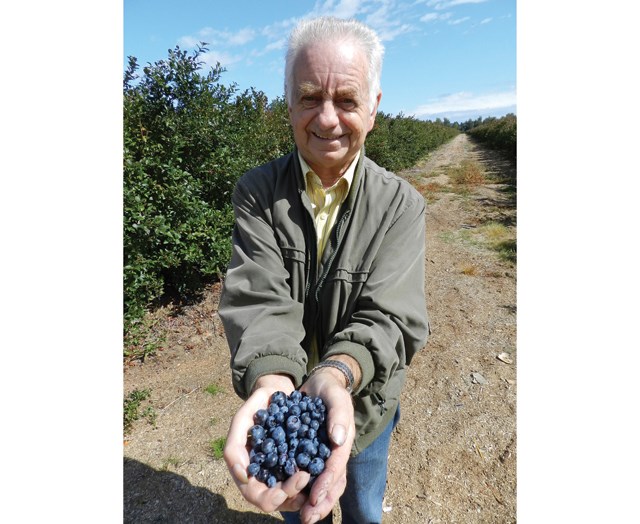 blueberries