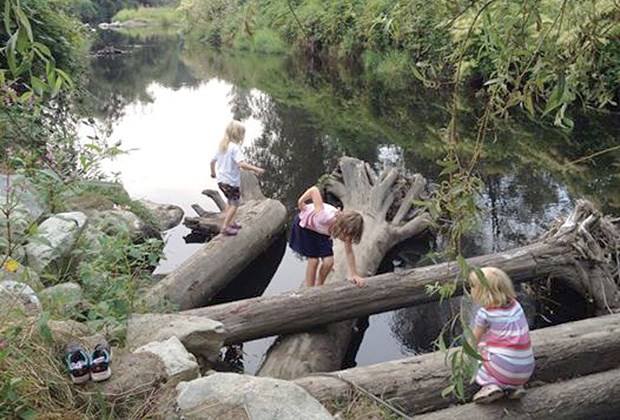 kids on logs