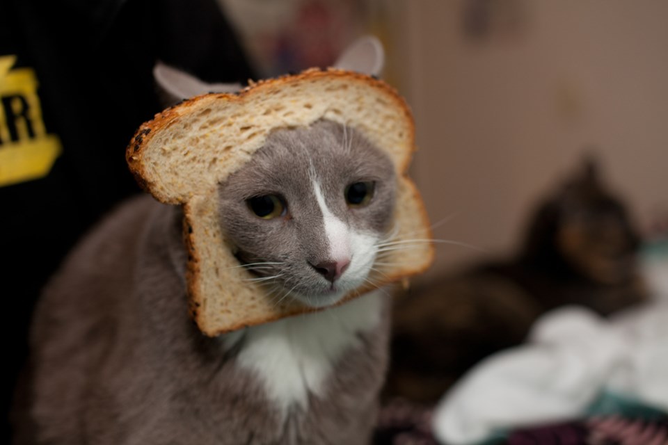 breading