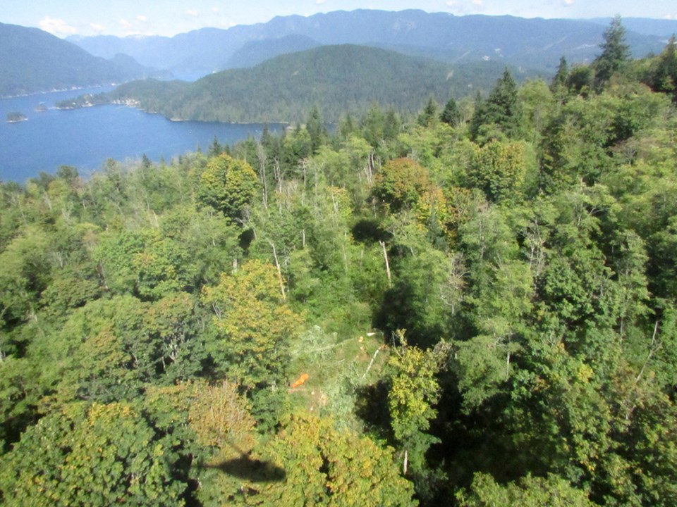 Kinder Morgan