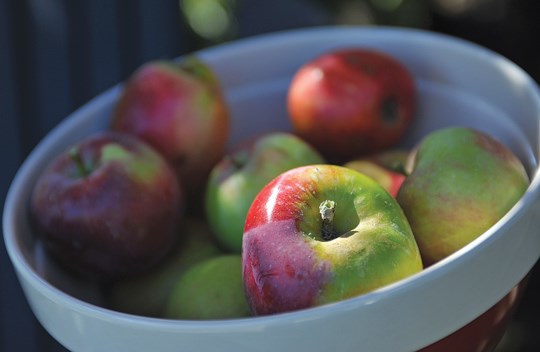 Apples