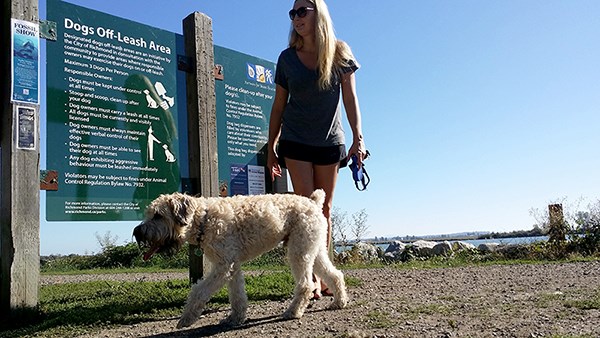 Off leash dogs