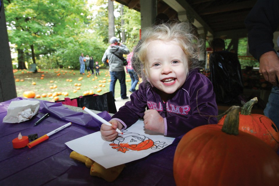 Abigail Aboussafy, Queen's Park, Pumpkin Patch