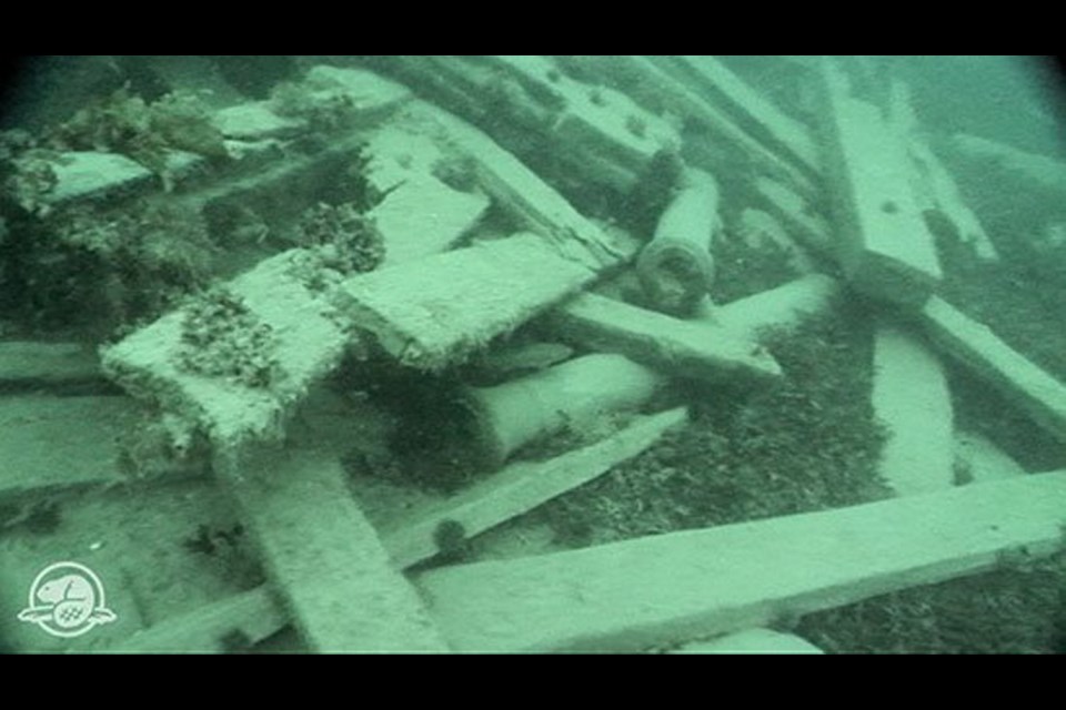 Two cannon can be seen in an image from a remotely operated submersible