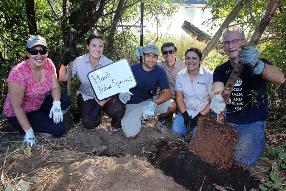 New Westminster Environmental Partners