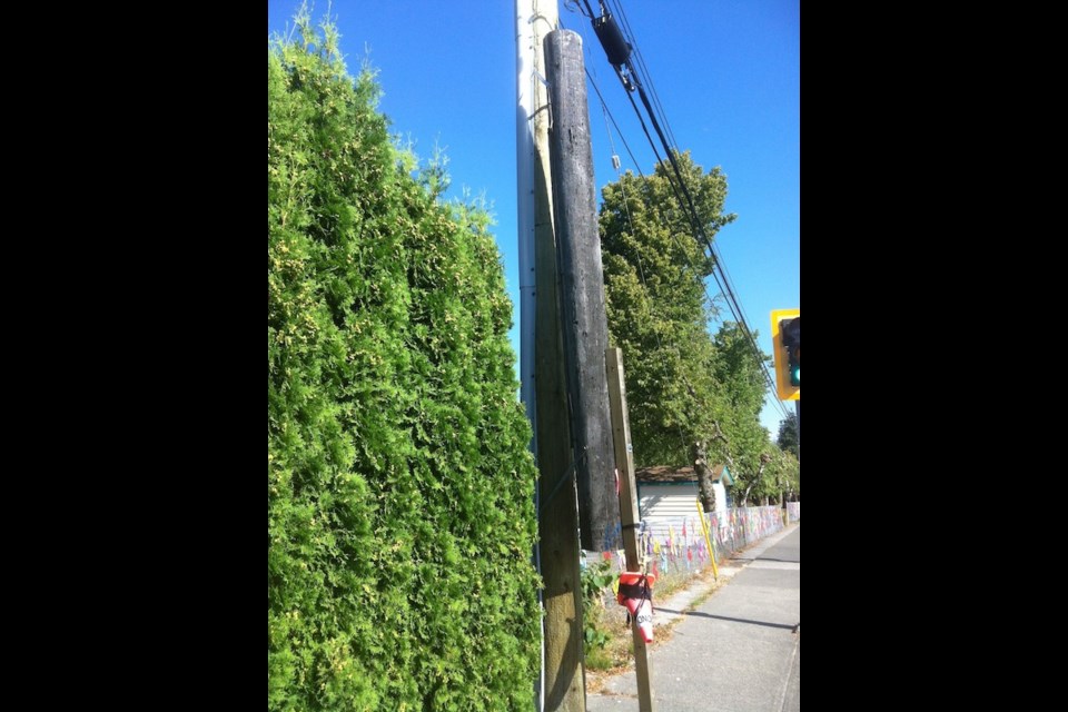 This pole is a bureacratic nightmare for one Richmond resident.