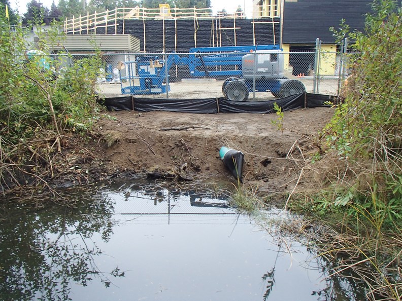 sewage