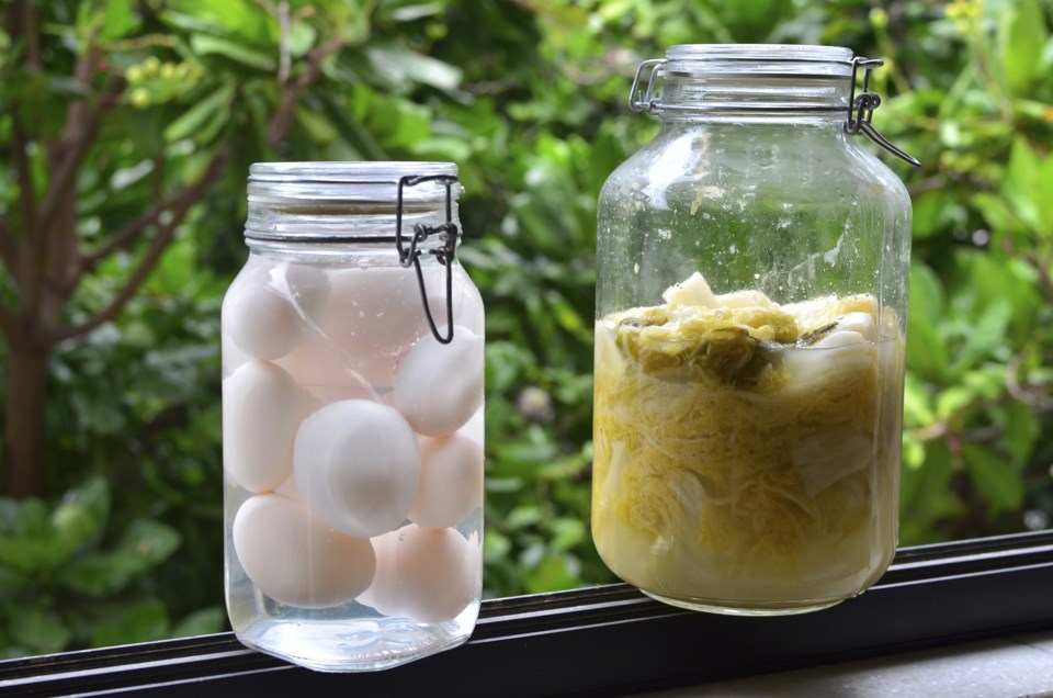Fermented foods