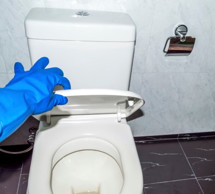 toilet