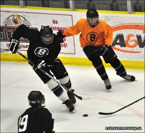The Bruins held their annual spring camp last weekend at Spectra Place. If you recognize a friend tag them in our photos at: https://www.facebook.com/EstevanMercury
