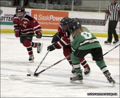 Estevan hosted an atom hockey tournament last weekend. If you recognize a friend in our pictures tag them at: https://www.facebook.com/EstevanMercury