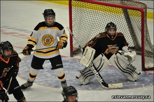 The bantam AA Bruins fell short against the West Central Wheat Kings Oct. 21 losing 5-3. If you recognize a friend in our photos tag them at: https://www.facebook.com/EstevanMercury