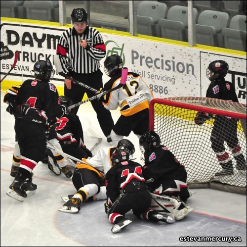 The peewee AA Bruins split a pair of home games against the Moose Jaw Warriors to open the season. If you recognize a friend tag them in our photos at:  https://www.facebook.com/EstevanMercury