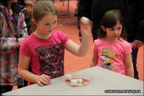 The Estevan Comprehensive School hosted their annual carnival on March 7 to raise money for the St. Joseph&#8217;s Hospital Foundation.