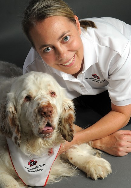 therapy dog