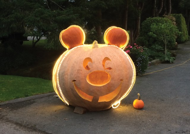 pumpkin