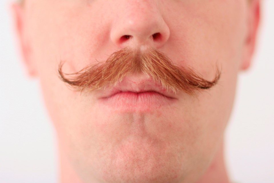 Moustache