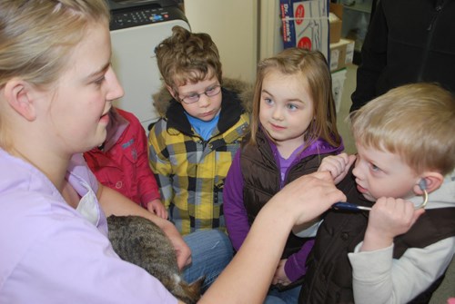 Hudson Irwin listens to a cat&#8217;s heartbeat as Zadie Gervais and Chase Robertson wait their turn.