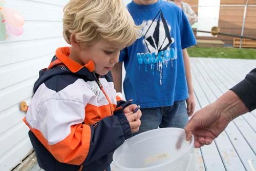 A young boy chooses his prize after participating in the cowboy ball toss.