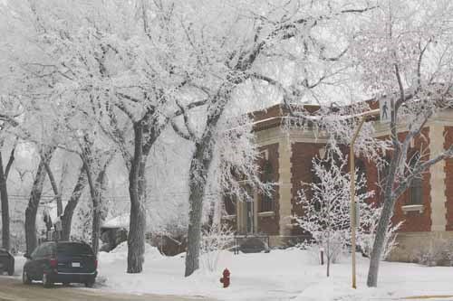Overnight Saturday, hoar frost settled on Yorkton creating a winter wonderland Sunday morning.
