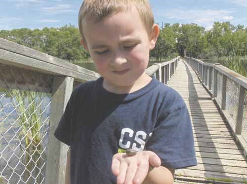 Haydn Kitzul checks out a snail shell he found while out for a stroll with his mom at the Ravine Ecological Preserve Sunday. The trail, located on the west end of Yorkton, boasts 2.8 km of walking trails through grasslands, an aspen forest and aquatic habitats.