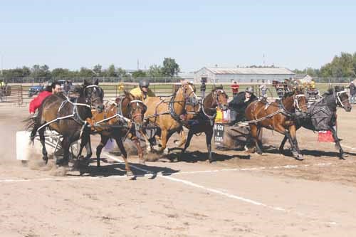 Randy Schnell and his chariot outfit win their first race on Day One of the Painted Hand Casino sponsored &#8216;Dash for the Cash&#8217; event at the Cornerstone Raceway on Friday.

The cowboys and cowgirls who participated entertained large crowds from August 29-31 with a myriad of chariot and chuckwagon races, some of which were in need of a photo finish.