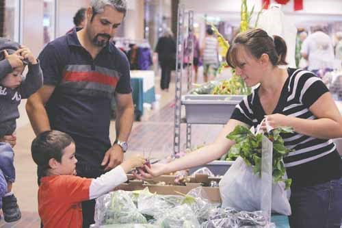 The farmer&#8217;s market drew heavy traffic at the Parkland Mall on Thursday afternoon. Growers from the surrounding area display their wares every Thursday and Saturday. Pictured above Donna Dyck sells fresh vegetables to CJ Wlock, and his father Dan.