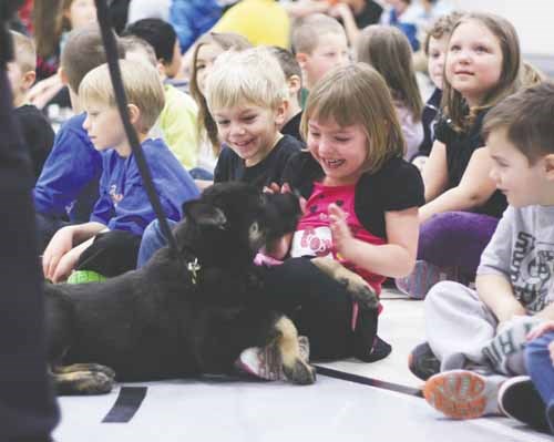 The Royal Canadian Mounted Police (RCMP) needs help in naming a handful of their newest police dog candidates, and last week local RCMP visited several area schools, including St. Paul&#8217;s in the city, to promote a contest for youth. Young Canadians, those 16 and under, are invited to submit a name suggestion for one of 10 German Shepherd puppies soon to be born at the Police Dog Service Training Centre (PDSTC) at Innisfail, AB. Contest rules are simple: contestants can suggest only one name (one entry per person). The name may be for a male or a female pup. The name must start with the letter &#8220;F.&#8221;  The name must have no more than nine letters. The name must be one or two syllables. To enter, print your name, age, address, telephone number and the suggested name for a puppy on a postcard and mail it Attn: &#8216;Name the Puppy Contest,&#8217; Police Dog Service Training Centre, Box 6120 Innisfail, AB T4G 1S8. The deadline for entries is March 22.