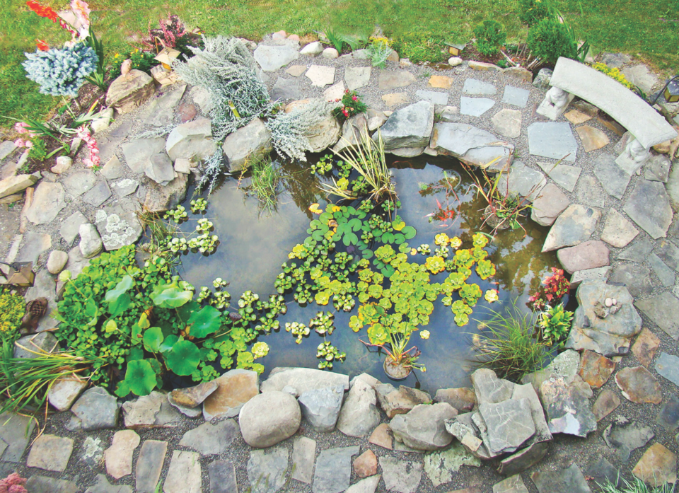 pond
