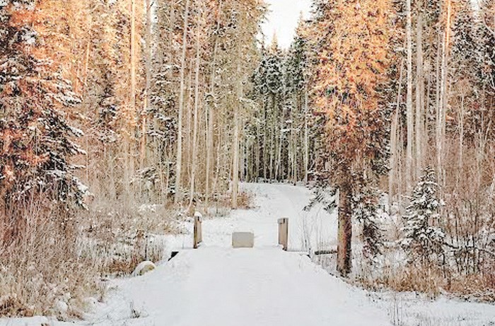 trail