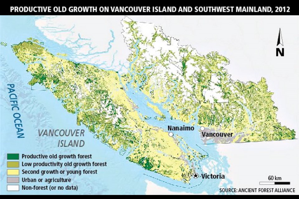 Productive old-growth forest left in 2012.