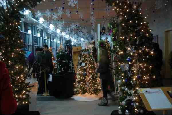The 2013 Festival of Trees was held at the Dekker Centre for the Performing Arts, with hundreds turning out on each of three days. This is the first year it has been held at the Dekker Centre and organizers were pleased with the venue and attendance numbers.