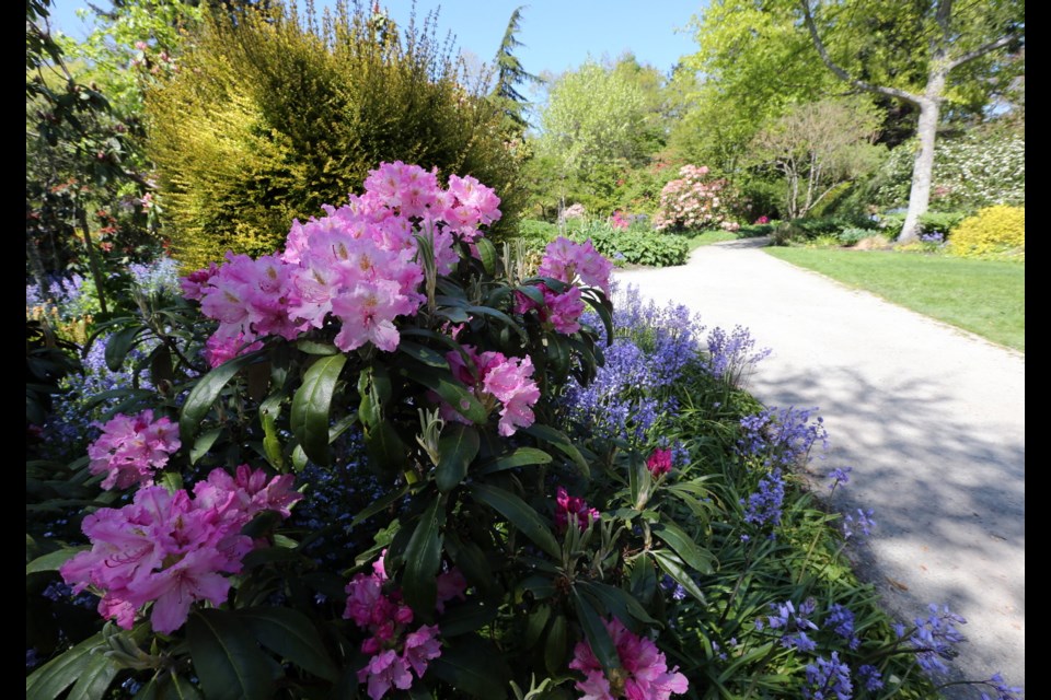 One of the many paths at Finnerty Gardens.