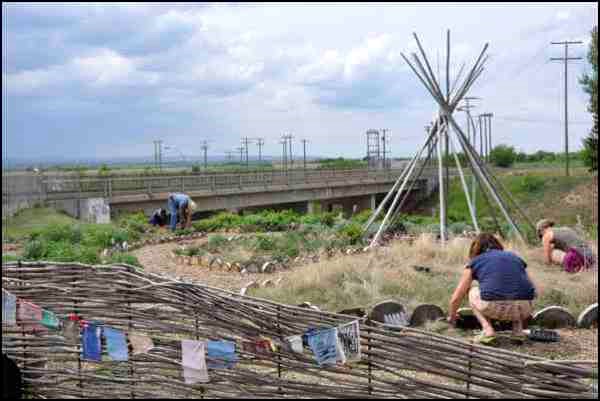 Spring has arrived at the Allen Sapp Gallery Healing Garden. Saturday, a spring tea and planting event was held and volunteers worked in the garden established last year. In the shape of a medicine wheel with a teepee structure in the centre, the garden design uses the permaculture concepts of increasing biodiversity and storing water and energy to eventually reduce the amount of human energy needed to maintain it. There are over 30 medicinal plants growing in the garden as well as sacred ceremonial plants and bushes for shade and shelter, including saskatoons. Top left, volunteer Sherron Burns and program co-ordinator Kjelti Anderson plant one of those sacred plants, tobacco. Top right, volunteers prepare harvested plants to cook and eat. Weekly workbees will be held on Wednesdays throughout the summer. Anyone interested is welcome to attend and help out.