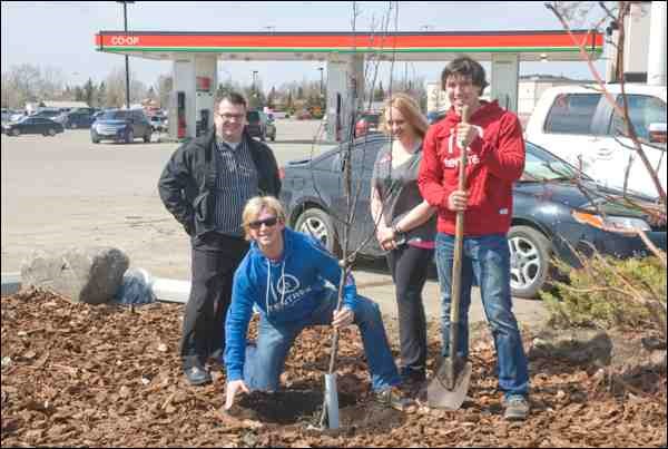 A Thunderchild Crabapple was planted at the Battlefords and District Co-op in North Battleford on Earth Day. The co-founders of Tentree clothing line were there to help. Left to right are Co-op General Manager Mike Nord, Dave Luba of Tentree, Tammy Ramsay, manager/buyer for FF2, and Kalen Emsley of Tentree. The Co-op plans to make planting a tree for Earth Day an annual event. The Tentree co-founders of Regina-based Tentree International, a lifestyle clothing brand, have a simple business model: for every item sold, Tentree and its partners plant 10 trees. FF2, which carries Tentree clothing, has sold enough to account for the planting of 15,000 trees. Ramsay says FF2 brought the Tentree line in last fall and sold out in one week, adding the community has been supportive of Tentree from the beginning. Luba and Emsley, long time friends who enjoy the outdoors, had a dream to create a business that gave back to the environment. They launched on Jan. 1, 2012, and took their business plan to the television show Dragon&#8217;s Den where their pitch was a success. Ramsay was excited to have been able, after a number of phone calls, to have the environmentally conscious entrepreneurs on hand for Earth Day. Tentree has a global vision &#8211; planting trees worldwide where there will be a targeted, lasting impact. To date Tentree and its partners have planted more than a million trees, including 33,000 trees in Canada, plus 306,760 in Ethiopia and 813,350 in Madagascar. No pesticides are used on their reforestation sites and the manufacture of their clothing line takes place in safe and healthy factories committed to fair hours of work, absolutely no child labour, and fair compensation based on local laws.