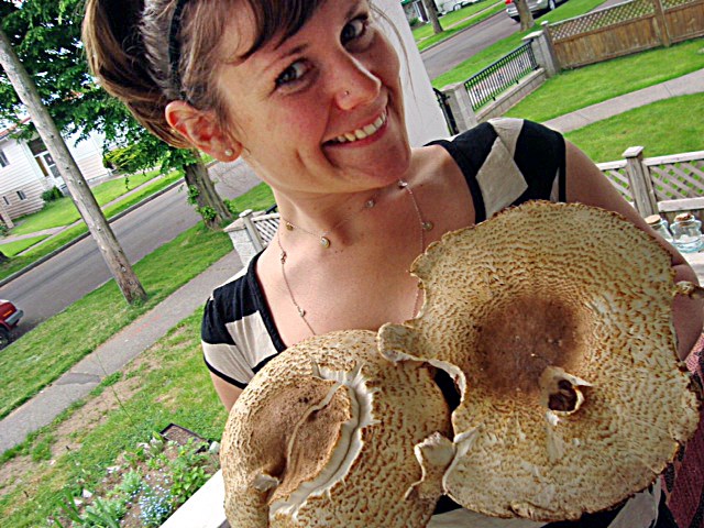 Urban Foraging
