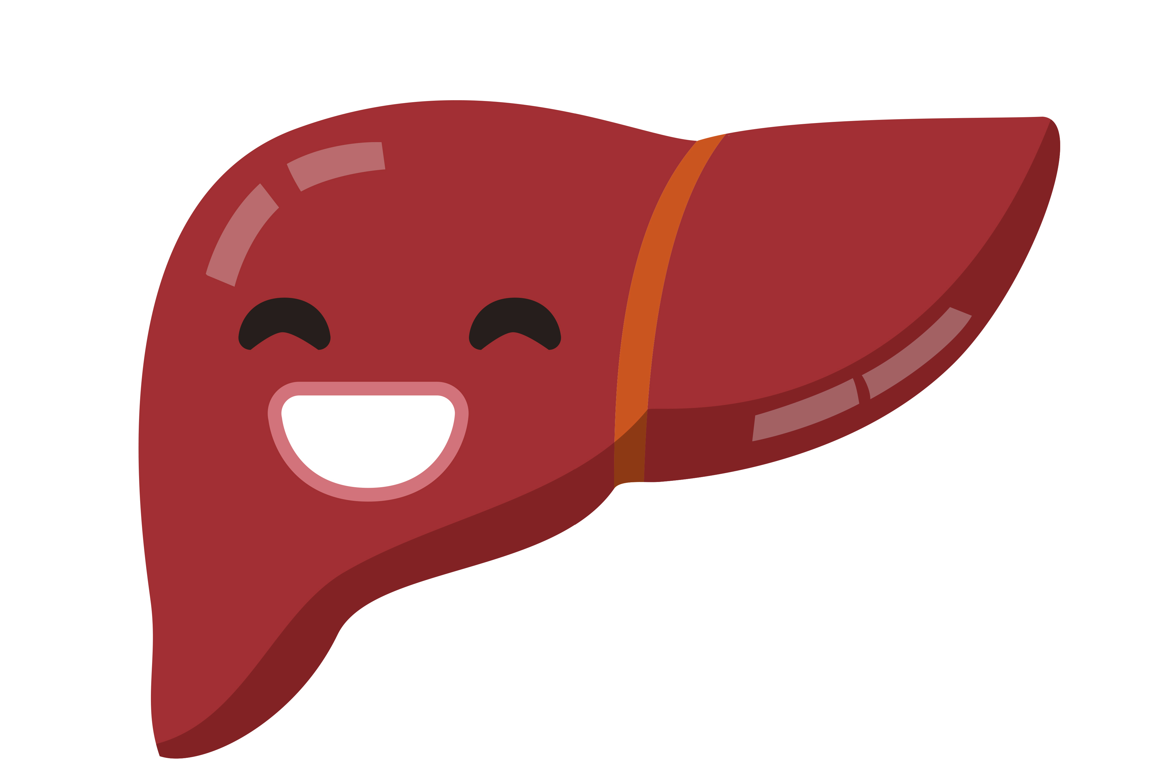 Help your liver so it can help you - Vancouver Is Awesome Help your liver so it can help you - Vancouver Is Awesome