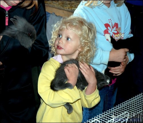 Tori Cuch found a kitten just the right size for her arms at the petting zoo during Vintage Days.
