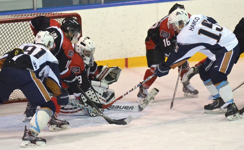 sockeyes