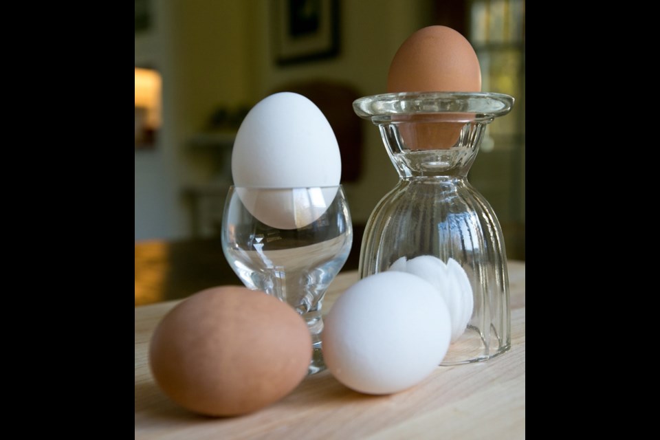 The only difference between white and brown eggs is the colour. They contain the same nutritional value and cook the same way.