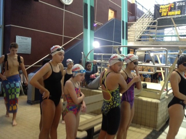 Dynamo swimming