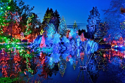 Festival of Lights at VanDusen Botanical Garden returns for its 30th year.