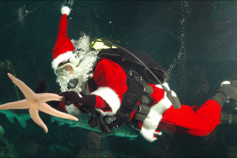 The undersea phenomenon known as Scuba Claus is at the Vancouver Aquarium until Dec. 24.