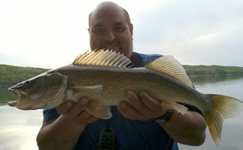 Spring has sprung and so have local and area fishing enthusiasts. With the season now open people are taking to the lakes and catching their limits. Above Brent Spelay shows off an eight pound 27 inch pickerel he caught over the long weekend at Lake of the Prairies.