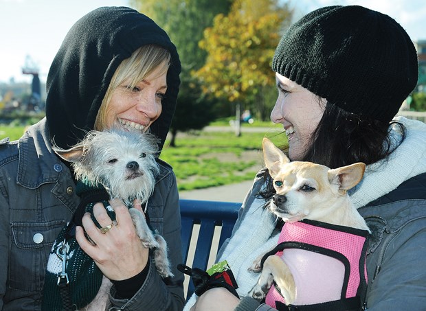 Spotted at Kings Mill Walk in North Vancouver, Danielle Tessier with her dog Chiquito keeps warm under a hooded sweater while Alanna Garcia with her dog Pixi wears a simple black beanie